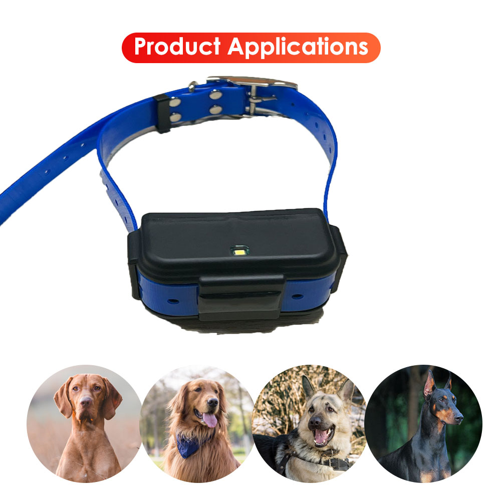 GPS 919 Animal Tracker - 4G 